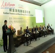 2010碳金融和新